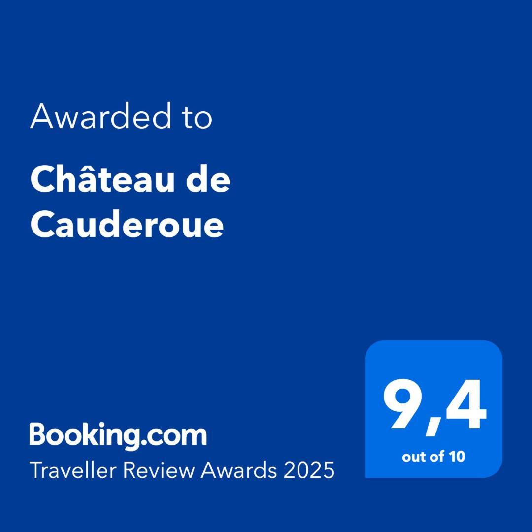 Nérac Chateau De Cauderoue מראה חיצוני תמונה